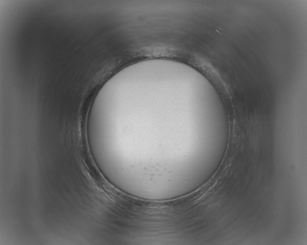 X0000073700202200608031023