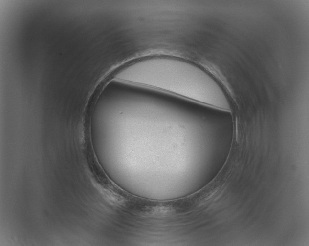 X0000073700204200608031023