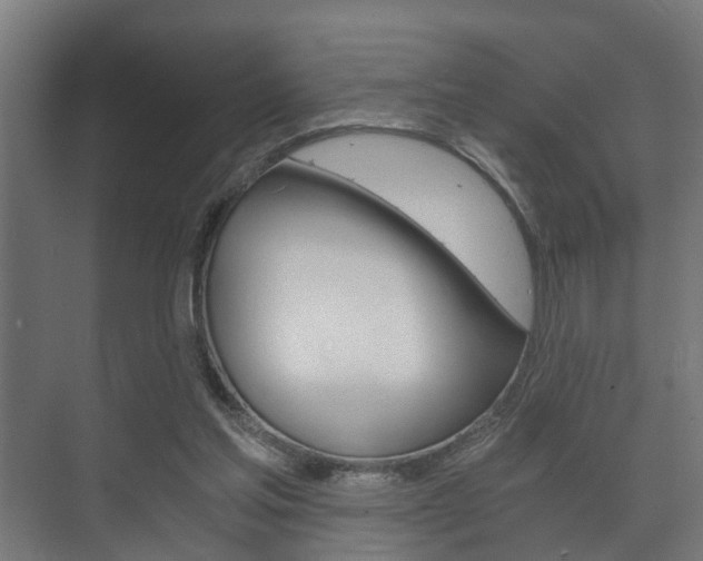 X0000073700205200608031023