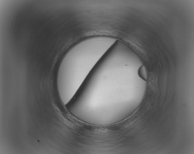 X0000073700206200608031023