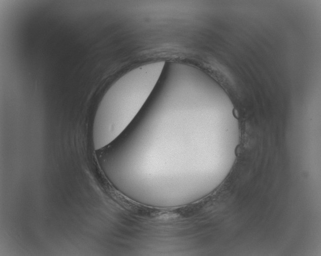 X0000073700210200608031023