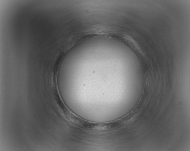 X0000073700213200608031023