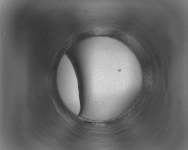 X0000073700214200608031023