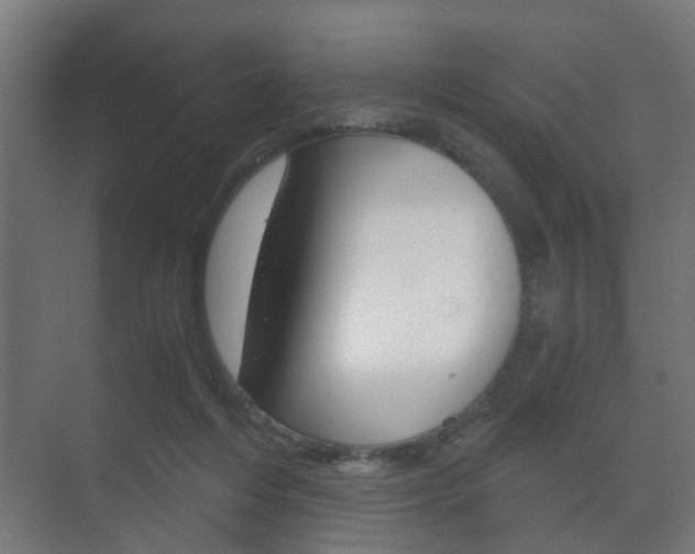 X0000073700216200608031023