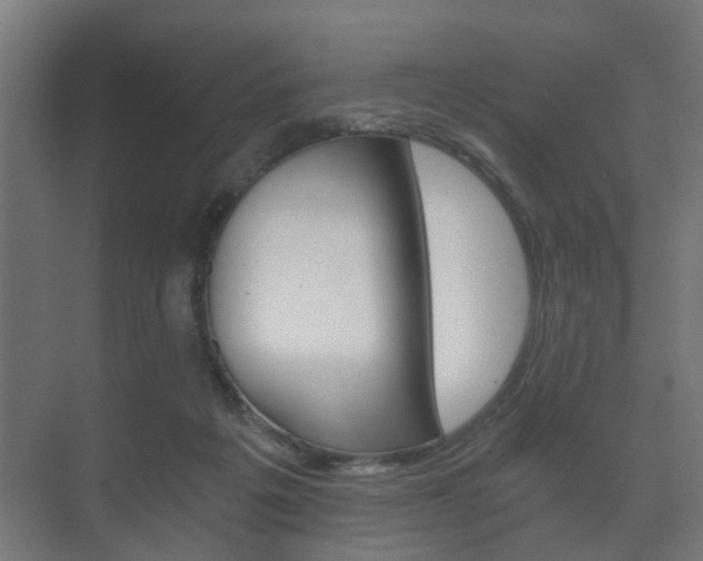 X0000073700217200608031023