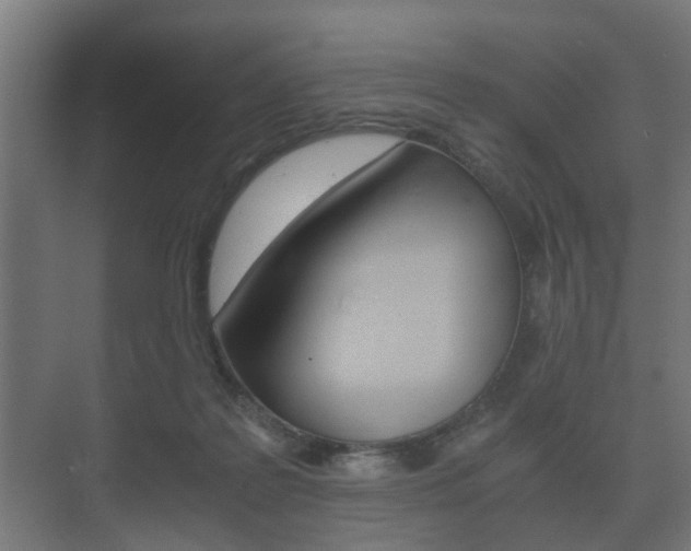 X0000073700219200608031023