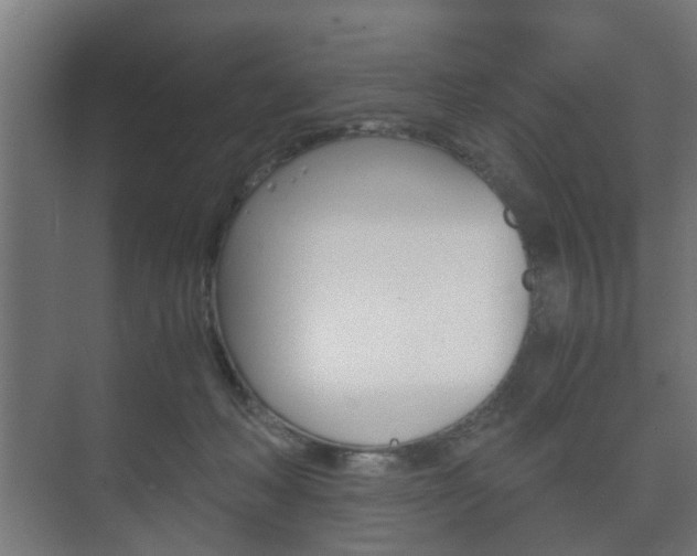 X0000073700222200608031023