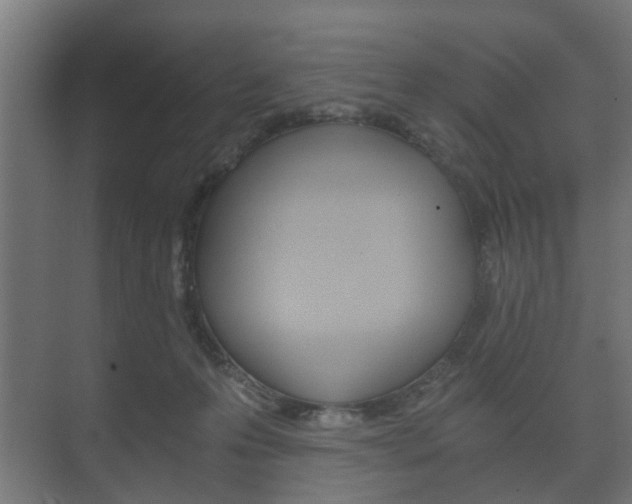 X0000073700223200608031023