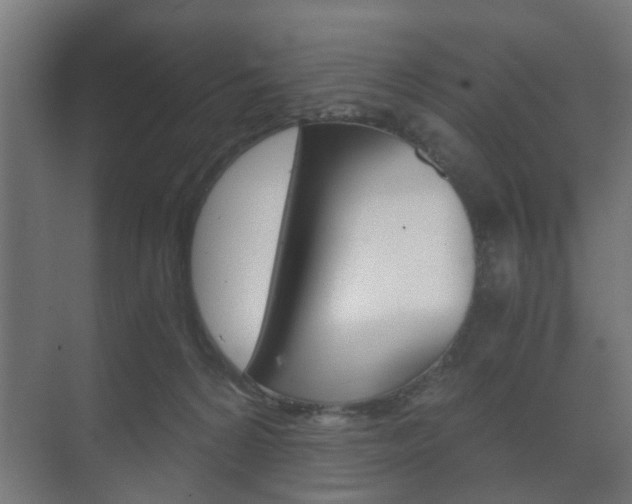 X0000073700224200608031023