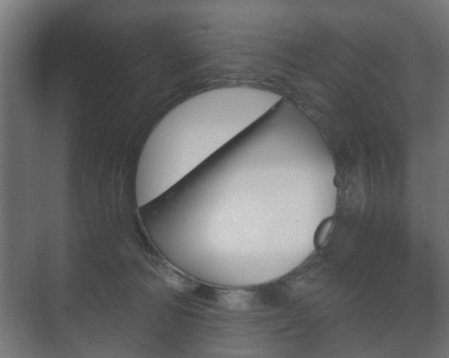 X0000073700226200608031023