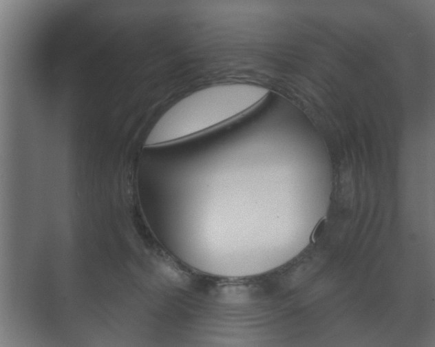 X0000073700228200608031023