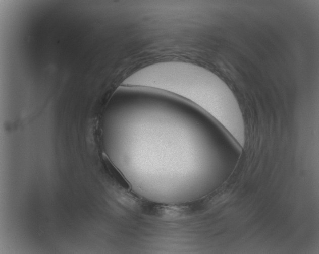 X0000073700229200608031023