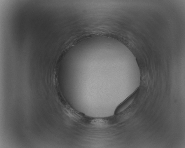 X0000073700231200608031023