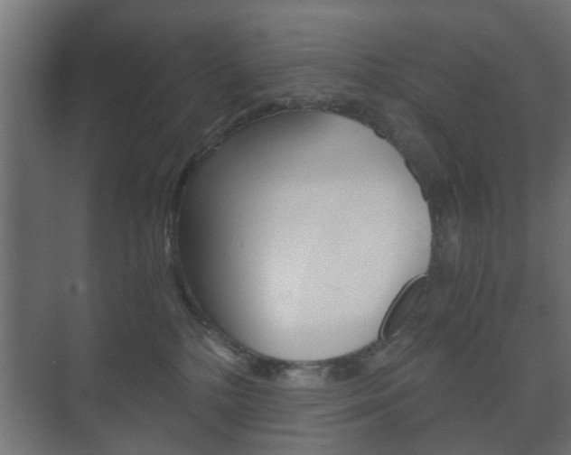 X0000073700232200608031023