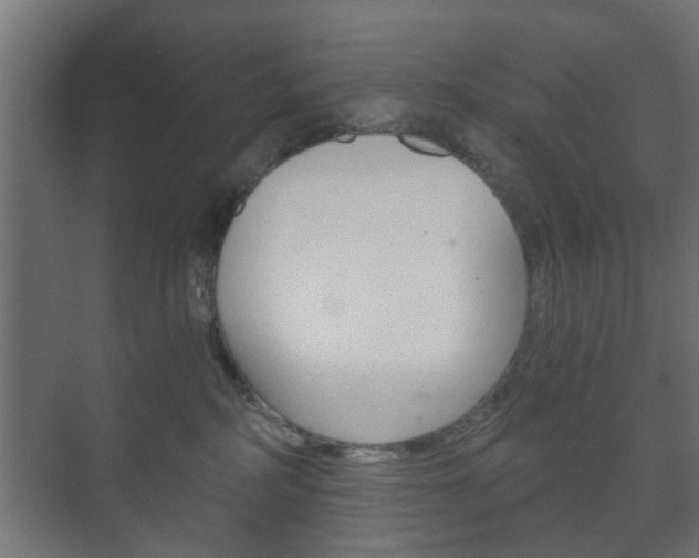 X0000073700234200608031023