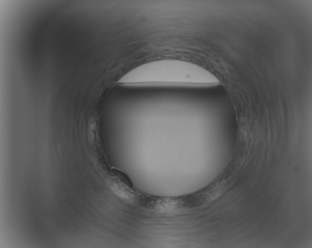 X0000073700235200608031023