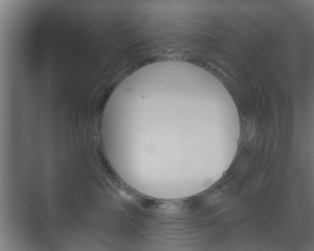 X0000073700236200608031023