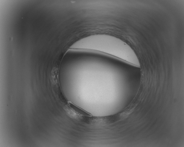 X0000073700237200608031023