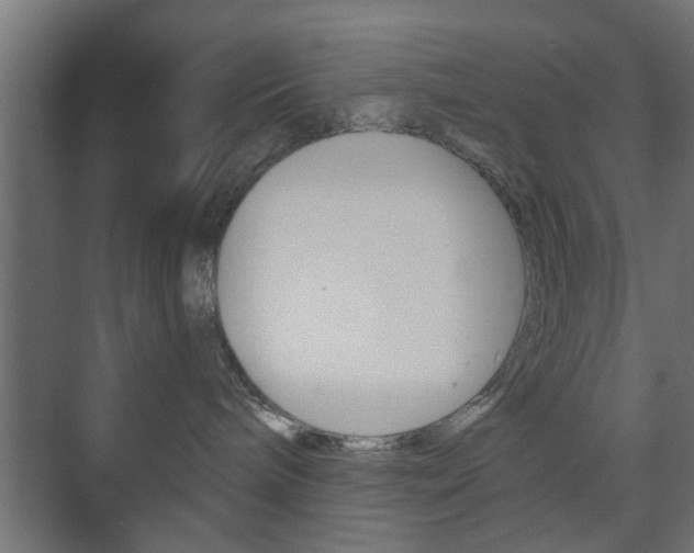 X0000073700240200608031022