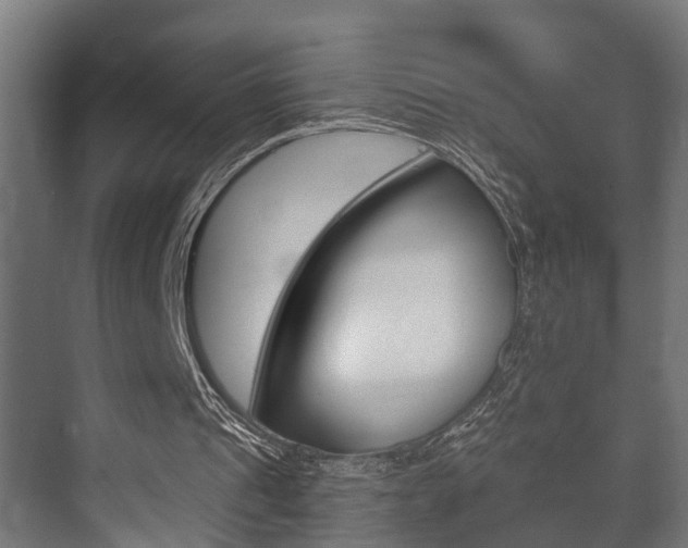 X0000073700241200608031022