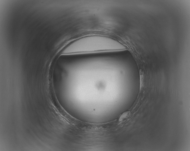 X0000073700243200608031022