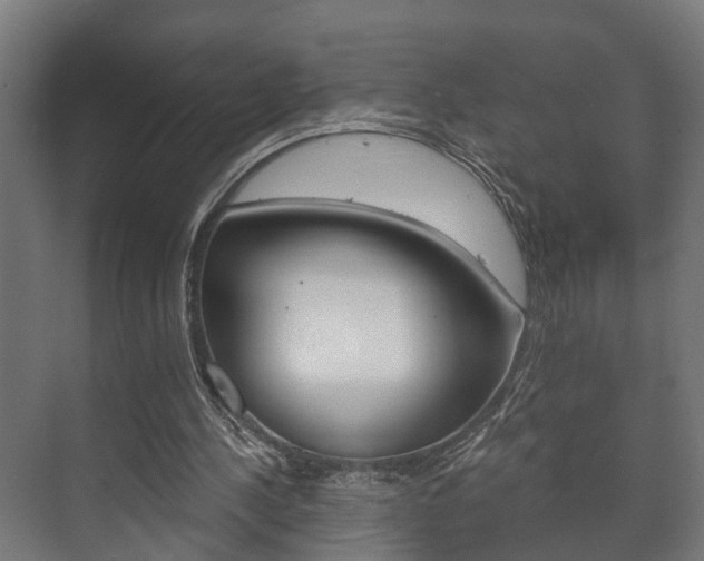 X0000073700244200608031022