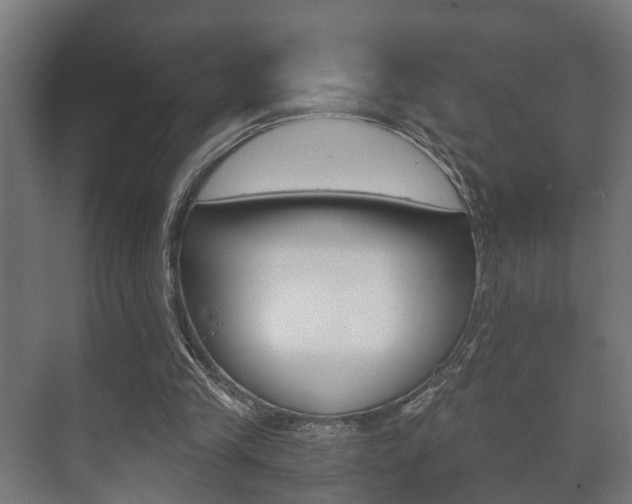 X0000073700245200608031022