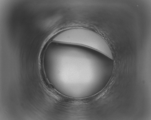 X0000073700246200608031022