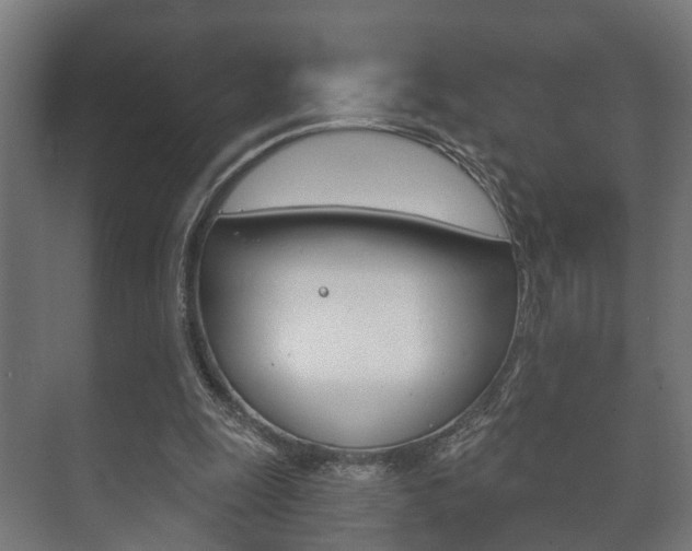 X0000073700247200608031022