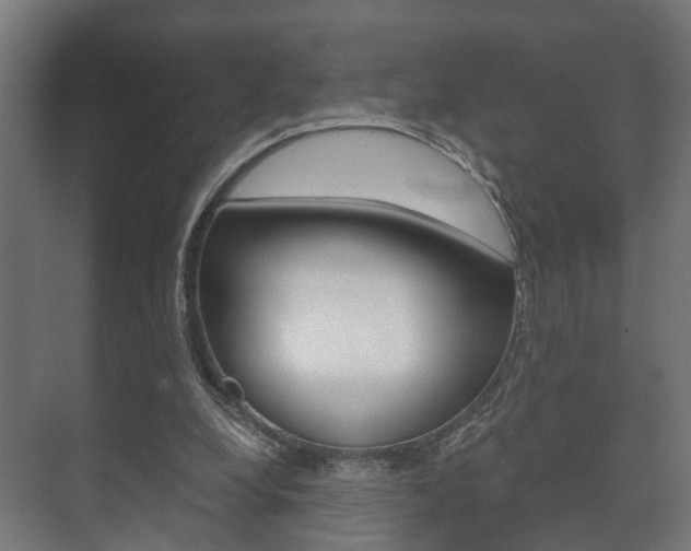 X0000073700248200608031022