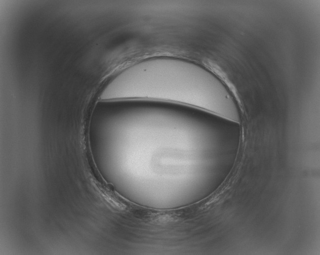 X0000073700249200608031022