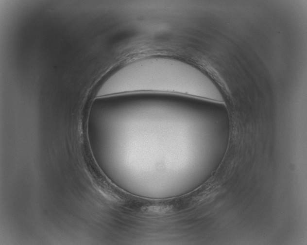 X0000073700251200608031022