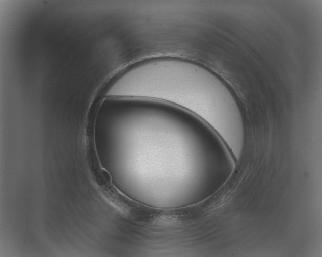 X0000073700252200608031022