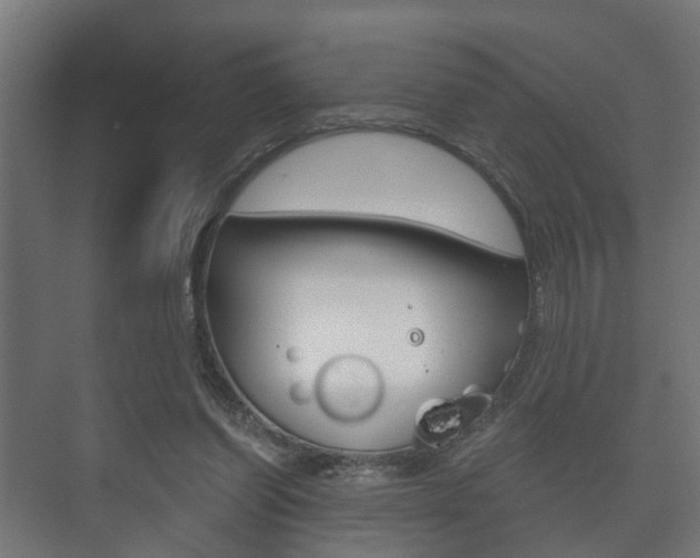 X0000073700254200608031022