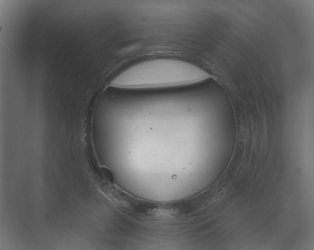 X0000073700255200608031022