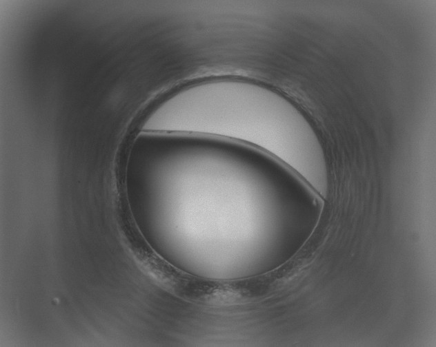 X0000073700256200608031022