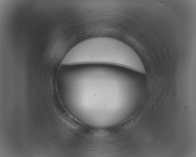 X0000073700258200608031022