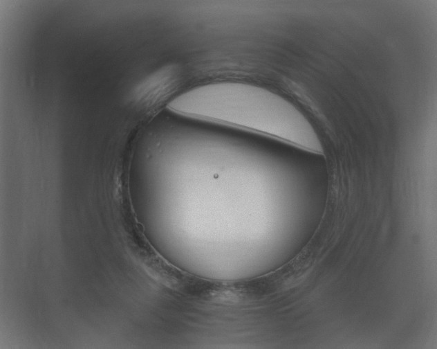 X0000073700259200608031022