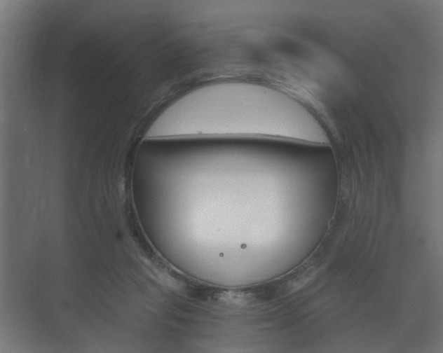 X0000073700261200608031022