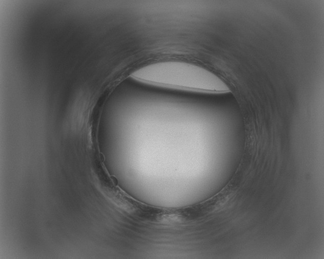 X0000073700262200608031022