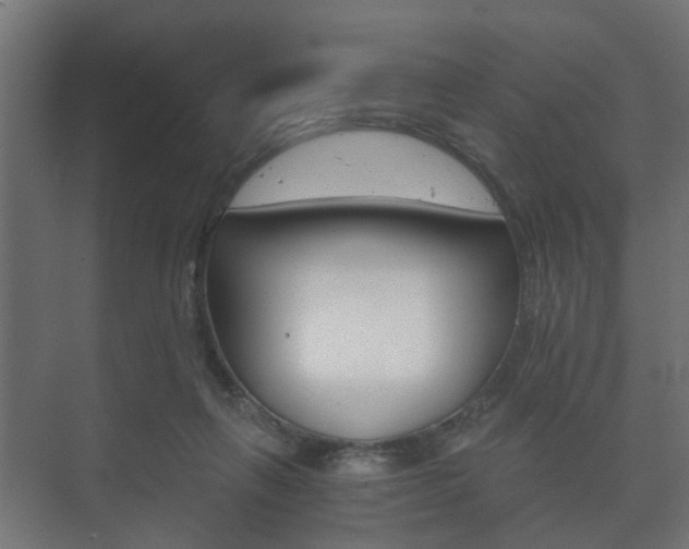 X0000073700263200608031022