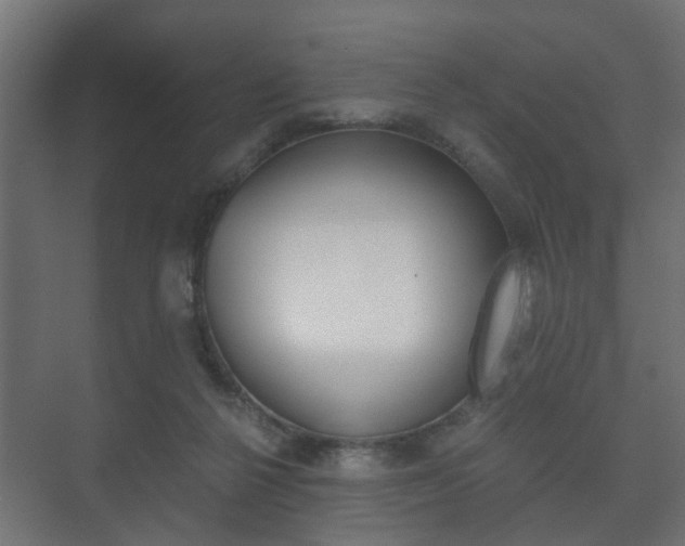 X0000073700264200608031022