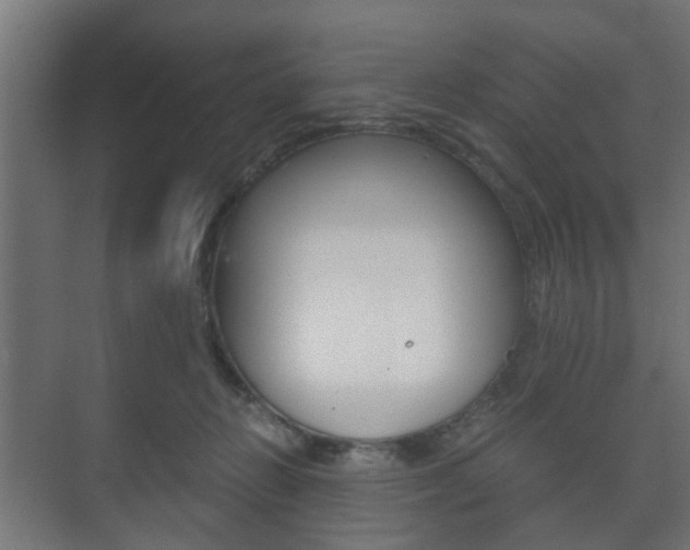 X0000073700270200608031022