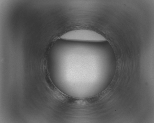 X0000073700272200608031022