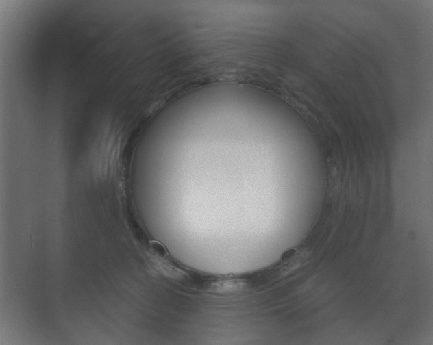 X0000073700274200608031022