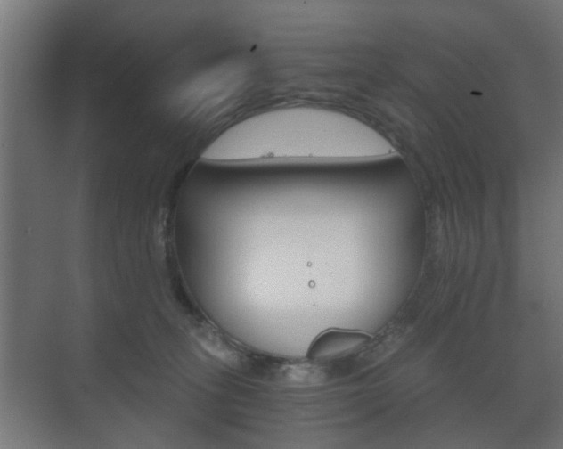 X0000073700275200608031022