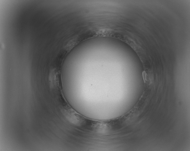 X0000073700276200608031022