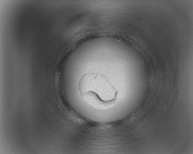 X0000073700278200608031022