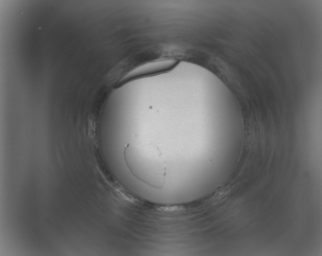 X0000073700281200608031022