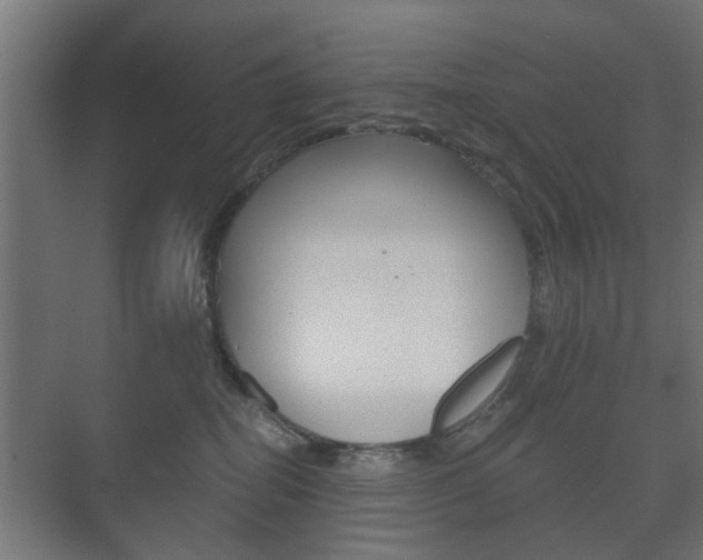 X0000073700282200608031022